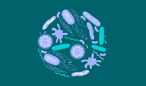 Gut flora icon