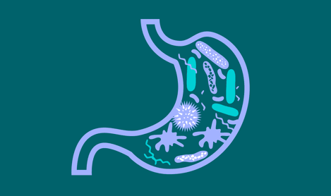 Gut flora icon